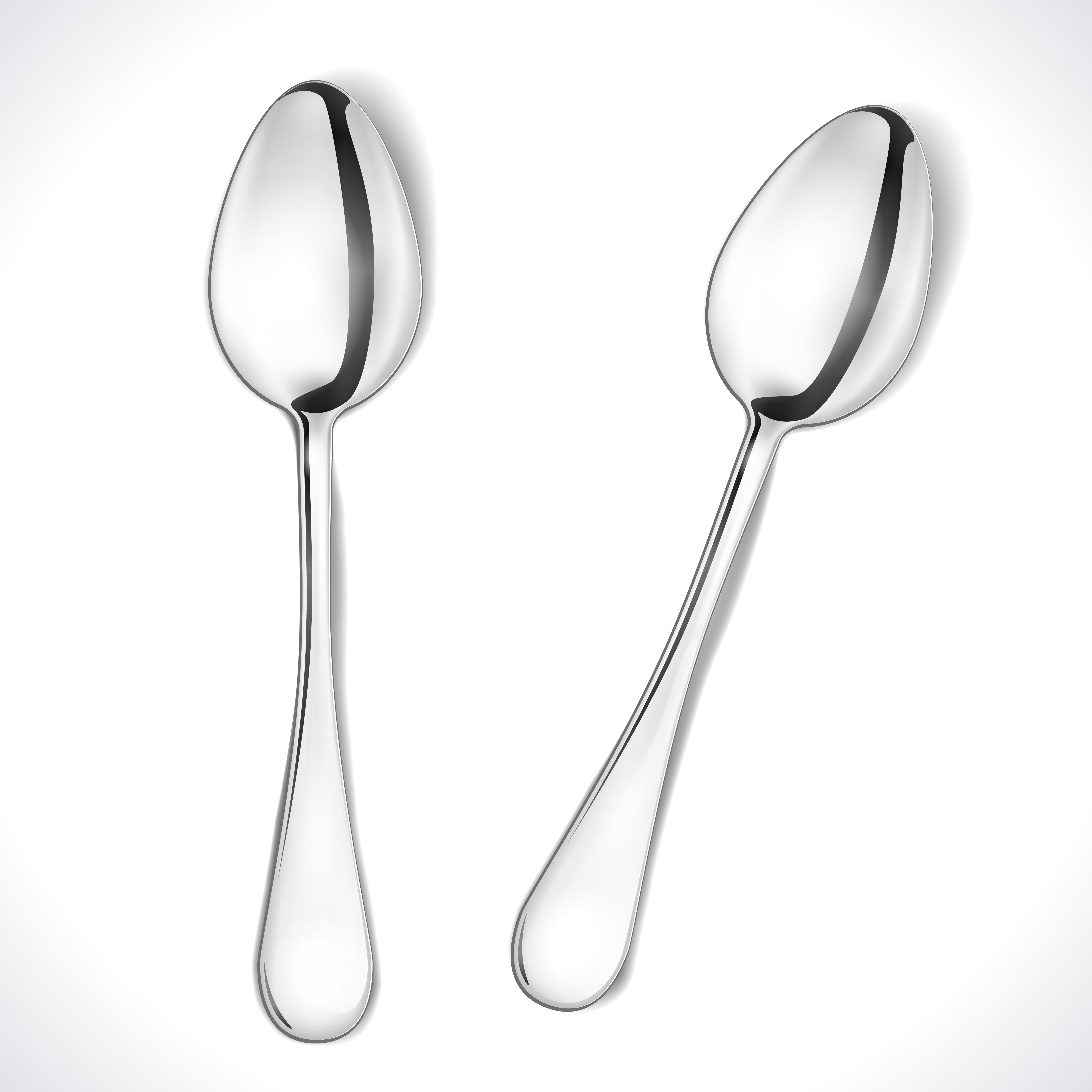 Stainless Steel Spoon